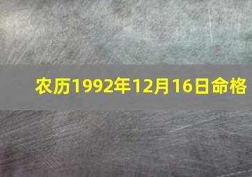 农历1992年12月16日命格