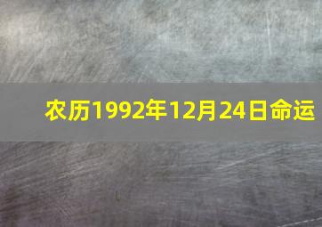 农历1992年12月24日命运