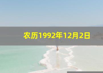 农历1992年12月2日