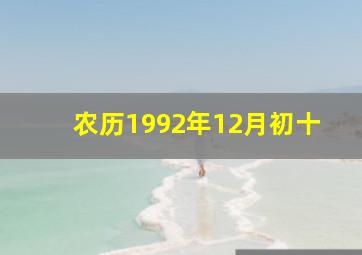 农历1992年12月初十