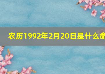 农历1992年2月20日是什么命