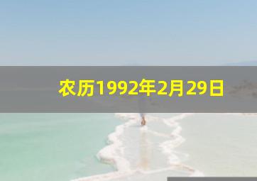 农历1992年2月29日