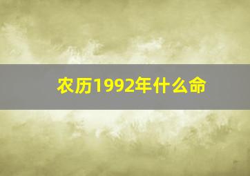 农历1992年什么命