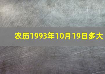 农历1993年10月19日多大