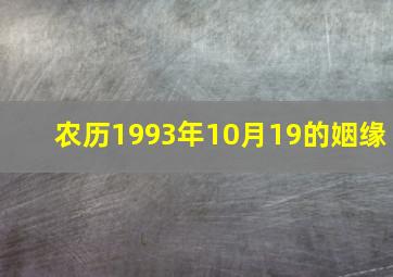 农历1993年10月19的姻缘