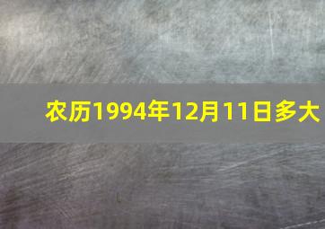 农历1994年12月11日多大