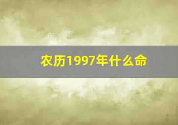 农历1997年什么命