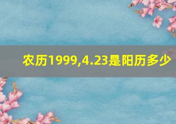 农历1999,4.23是阳历多少