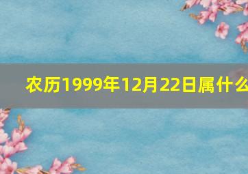 农历1999年12月22日属什么