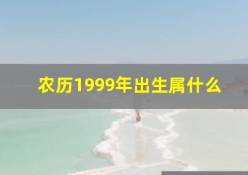 农历1999年出生属什么