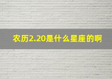 农历2.20是什么星座的啊