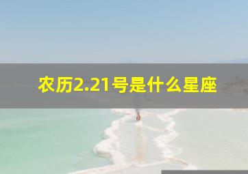 农历2.21号是什么星座