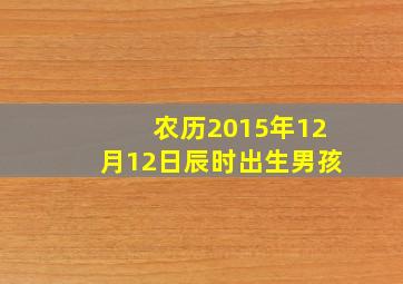 农历2015年12月12日辰时出生男孩