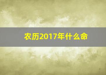 农历2017年什么命