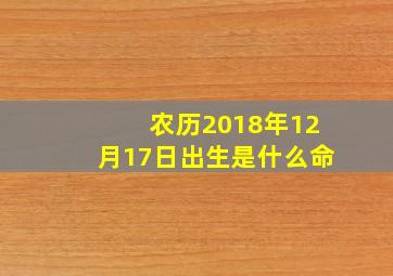 农历2018年12月17日出生是什么命