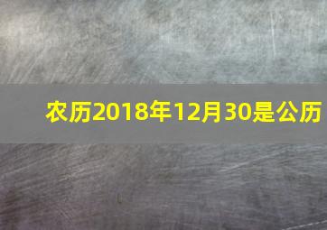 农历2018年12月30是公历