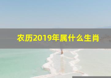 农历2019年属什么生肖