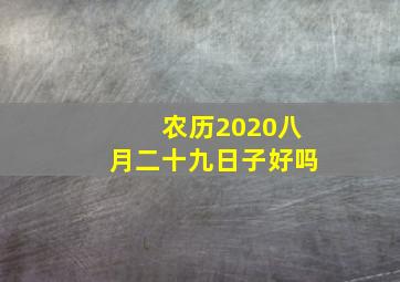 农历2020八月二十九日子好吗