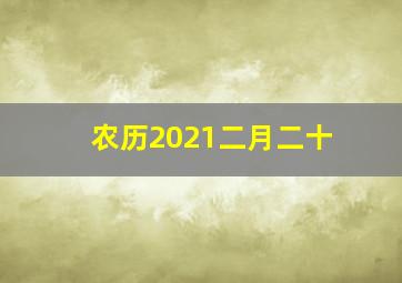 农历2021二月二十