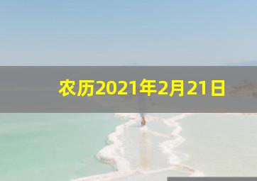 农历2021年2月21日