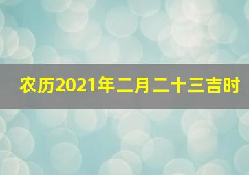 农历2021年二月二十三吉时