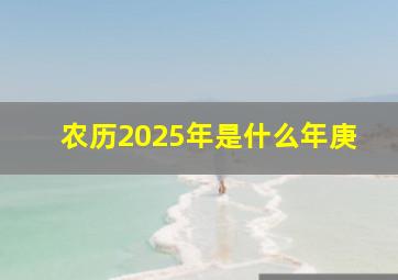 农历2025年是什么年庚