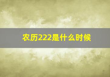 农历222是什么时候