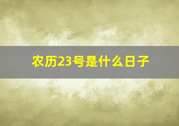 农历23号是什么日子