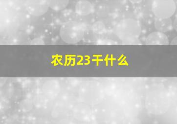 农历23干什么