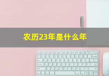 农历23年是什么年