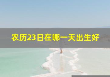 农历23日在哪一天出生好