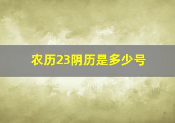 农历23阴历是多少号