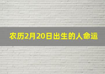 农历2月20日出生的人命运