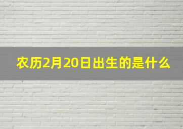 农历2月20日出生的是什么