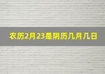 农历2月23是阴历几月几日