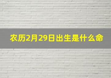 农历2月29日出生是什么命