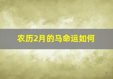 农历2月的马命运如何