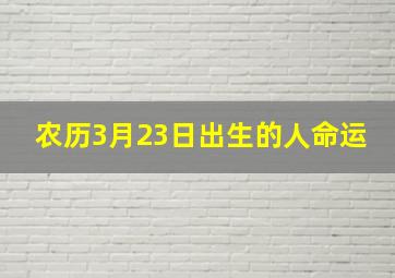 农历3月23日出生的人命运