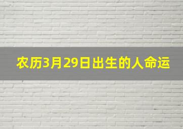 农历3月29日出生的人命运