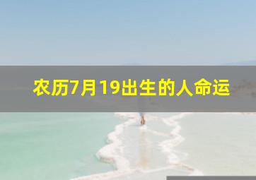 农历7月19出生的人命运