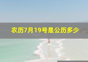 农历7月19号是公历多少