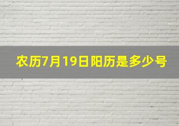 农历7月19日阳历是多少号