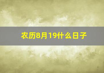 农历8月19什么日子