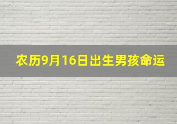 农历9月16日出生男孩命运