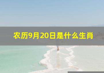 农历9月20日是什么生肖