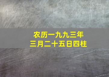 农历一九九三年三月二十五日四柱