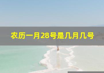 农历一月28号是几月几号