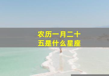 农历一月二十五是什么星座