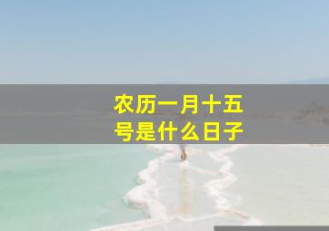 农历一月十五号是什么日子