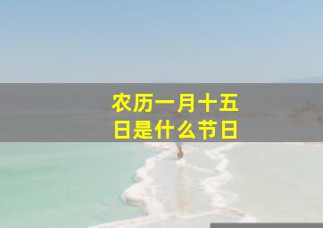 农历一月十五日是什么节日